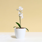 Кашпо для цветов, d=12.5 см, 1 л, пластик, белое - Фото 3