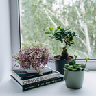 Кашпо для цветов, d = 12,5 см, 1 л, пластик, цвет зелёный шалфей (комплект 3 шт) - фото 25353796