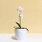 Кашпо для цветов, d=17 см, 2.7 л, пластик, белое - Фото 3