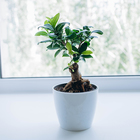 Кашпо для цветов, d=17 см, 2.7 л, пластик, белое - Фото 4