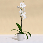 Кашпо для цветов, d=19 см, 3.5 л, пластик, белое - Фото 3