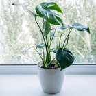 Кашпо для цветов, d=19 см, 3.5 л, пластик, бежевое - Фото 4