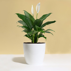 Кашпо для цветов, d=21 см, 5.2 л, пластик, белое - Фото 3