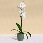 Кашпо для цветов, d=21 см, 5.2 л, пластик, зелёное, шалфей - Фото 3