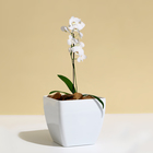 Кашпо для цветов, 15 × 15 см, 2,5 л, пластик, белое 10624127