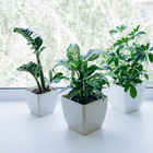 Кашпо для цветов, 15 × 15 см, 2,5 л, пластик, белое 10624127