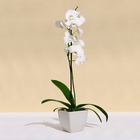 Кашпо для цветов, 15×15 см, 2.5 л, пластик, бежевое - Фото 3