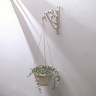 Кронштейн для подвесных кашпо, пластик, бежевый - Фото 8