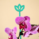 Опора для орхидей, h = 44 см, пластик, бирюзовая, МИКС - Фото 2
