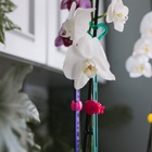 Опора для орхидей, h=44 см, пластик, бирюзовая, МИКС - Фото 11