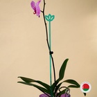 Опора для орхидей, h=44 см, пластик, бирюзовая, МИКС - Фото 13