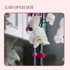 Опора для орхидей, h=44 см, пластик, бирюзовая, МИКС - Фото 2