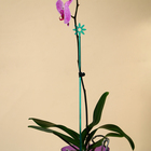 Опора для орхидей, h = 44 см, пластик, бирюзовая, МИКС - Фото 4