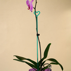 Опора для орхидей, h = 44 см, пластик, бирюзовая, МИКС - Фото 6
