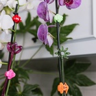 Опора для орхидей, h = 44 см, пластик, зелёная, МИКС - Фото 11