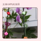 Опора для орхидей, h = 44 см, пластик, зелёная, МИКС - Фото 2
