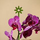 Опора для орхидей, h = 44 см, пластик, зелёная, МИКС - Фото 5