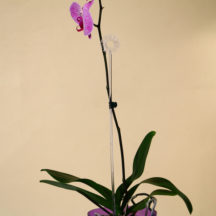 Опора для орхидей, h = 44 см, пластик, прозрачная, МИКС - Фото 1