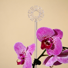 Опора для орхидей, h = 44 см, пластик, прозрачная, МИКС - Фото 2
