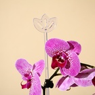 Опора для орхидей, h = 44 см, пластик, прозрачная, МИКС - Фото 12