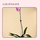 Опора для орхидей, h = 44 см, пластик, прозрачная, МИКС - Фото 2