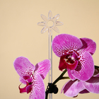 Опора для орхидей, h = 44 см, пластик, прозрачная, МИКС - Фото 5