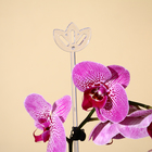 Опора для орхидей, h = 44 см, пластик, прозрачная, МИКС - Фото 9