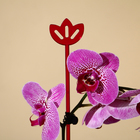 Опора для орхидей, h = 44 см, пластик, малиновая, МИКС - Фото 2