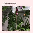Опора для орхидей, h=44 см, пластик, малиновая, МИКС - Фото 2