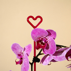 Опора для орхидей, h = 44 см, пластик, малиновая, МИКС - Фото 5