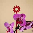 Опора для орхидей, h = 44 см, пластик, малиновая, МИКС - Фото 7