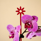 Опора для орхидей, h = 44 см, пластик, малиновая, МИКС - Фото 9
