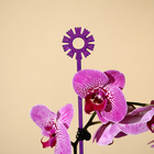 Опора для орхидей, h = 44 см, пластик, фиолетовая, МИКС - Фото 2