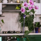 Опора для орхидей, h = 44 см, пластик, фиолетовая, МИКС - Фото 13