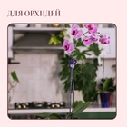 Опора для орхидей, h = 44 см, пластик, фиолетовая, МИКС - Фото 2