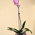Опора для орхидей, h = 44 см, пластик, фиолетовая, МИКС - Фото 4