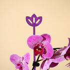 Опора для орхидей, h = 44 см, пластик, фиолетовая, МИКС - Фото 9