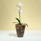 Горшок для орхидей, 1,5 л, 13 × 17 см, пластик, прозрачно-серый - Фото 3