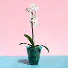 Горшок для орхидей, 1,5 л, 13 × 17 см, пластик, прозрачно-бирюзовый - Фото 3