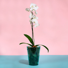Горшок для орхидей, 1,2 л, 12,5 × 16,6 см, пластик, прозрачно-бирюзовый - Фото 3