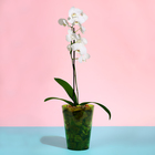 Горшок для орхидей, 1,2 л, 12,5 × 16,6 см, пластик, прозрачно-зелёный - Фото 3
