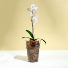 Горшок для орхидей, 1.2 л, 12.5×16.6 см, пластиковый, прозрачный - Фото 3