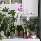 Горшок для орхидей, 2 л, 14.8×16.2 см, круглый, пластиковый, прозрачно-серый - Фото 3