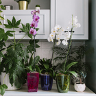 Горшок для орхидей, 2 л, 14,8 × 16,2 см круглый, пластик, прозрачно-фиолетовый - фото 25353821