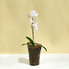 Горшок для орхидей, 1,3 л, 13,6 × 14,1 × 20 см, пластик, прозрачно-серый - Фото 3