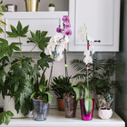 Горшок для орхидей, 1,3 л, 13,6 × 14,1 × 20 см, пластик, прозрачно-серый 10624187