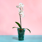 Горшок для орхидей, 1,3 л, 13,6 × 14,1 × 20 см, пластик, прозрачно-бирюзовый - Фото 3