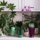 Горшок для орхидей, 1,3 л, 13,6 × 14,1 × 20 см, пластик, прозрачно-бирюзовый - фото 25353824