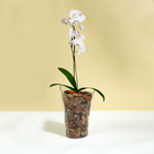 Горшок для орхидей, 1.3 л, 13.6×14.1×20 см, пластиковый, прозрачный - Фото 3