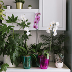 Горшок для орхидей, 2,5 л, 16,4 × 18,5 см, пластик, прозрачно-бирюзовый - Фото 4